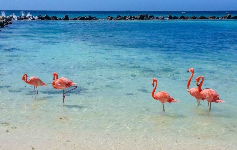Aruba – Feriado de Noviembre 2026