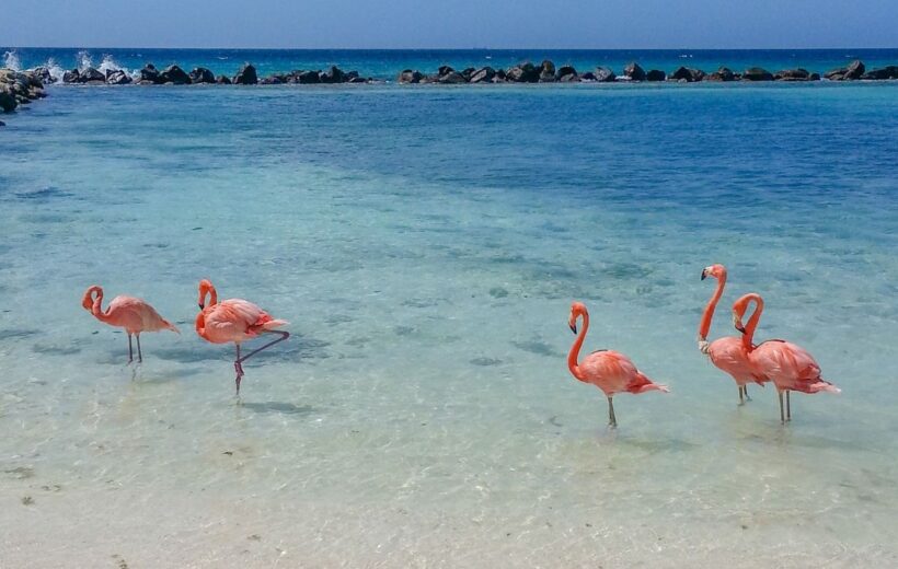 Aruba
