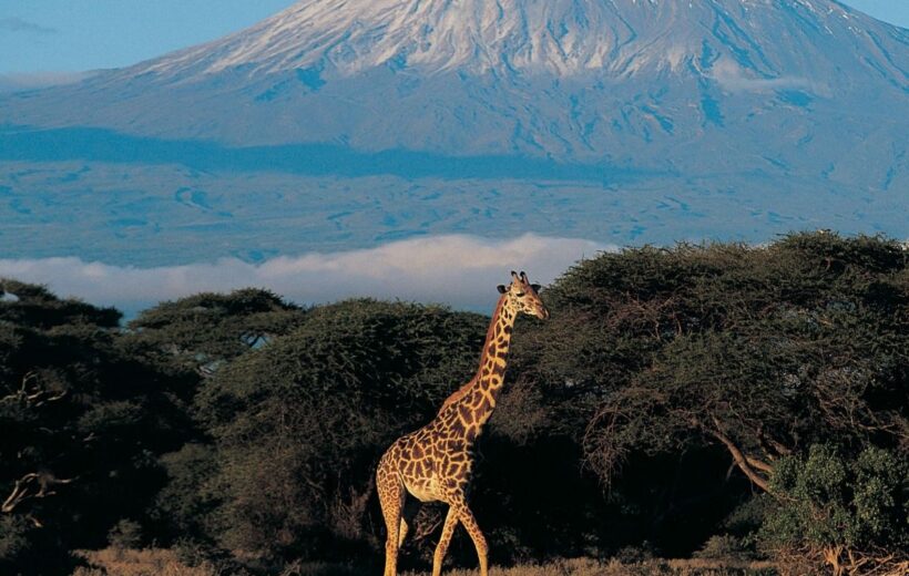 Tanzania y Kenia Inolvidables